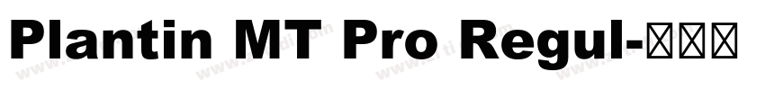 Plantin MT Pro Regul字体转换